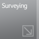 Surveying
